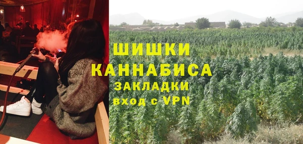 меф Арсеньев