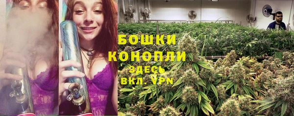 меф Арсеньев