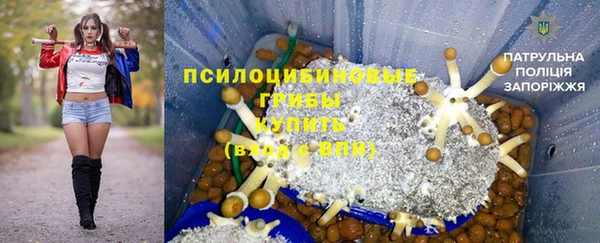 меф Арсеньев