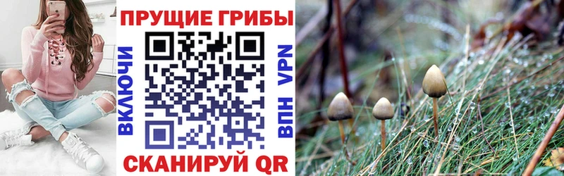 Псилоцибиновые грибы мухоморы MEGA ONION Ельня